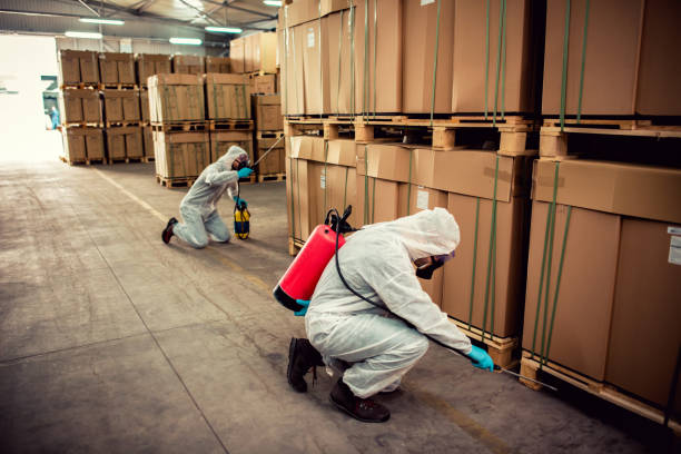 Best Wasp Removal Services  in Dumont, NJ