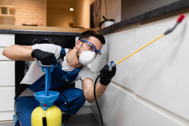 Best Pest Prevention Services  in Dumont, NJ