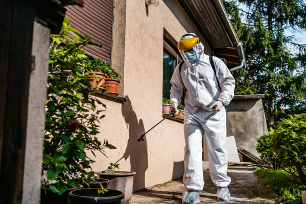 Best Flea Control Services  in Dumont, NJ