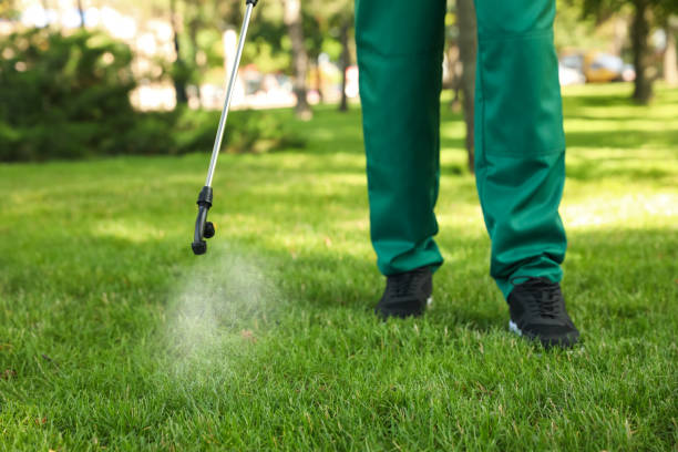 Best Pest Control for Homes  in Dumont, NJ