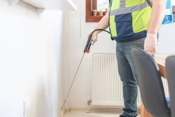Wasp Removal Services in Dumont, NJ
